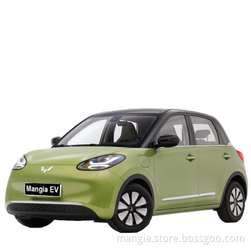 High quality new electric car wuling bingo ev mini electric car hot selling adult electric car in 2023